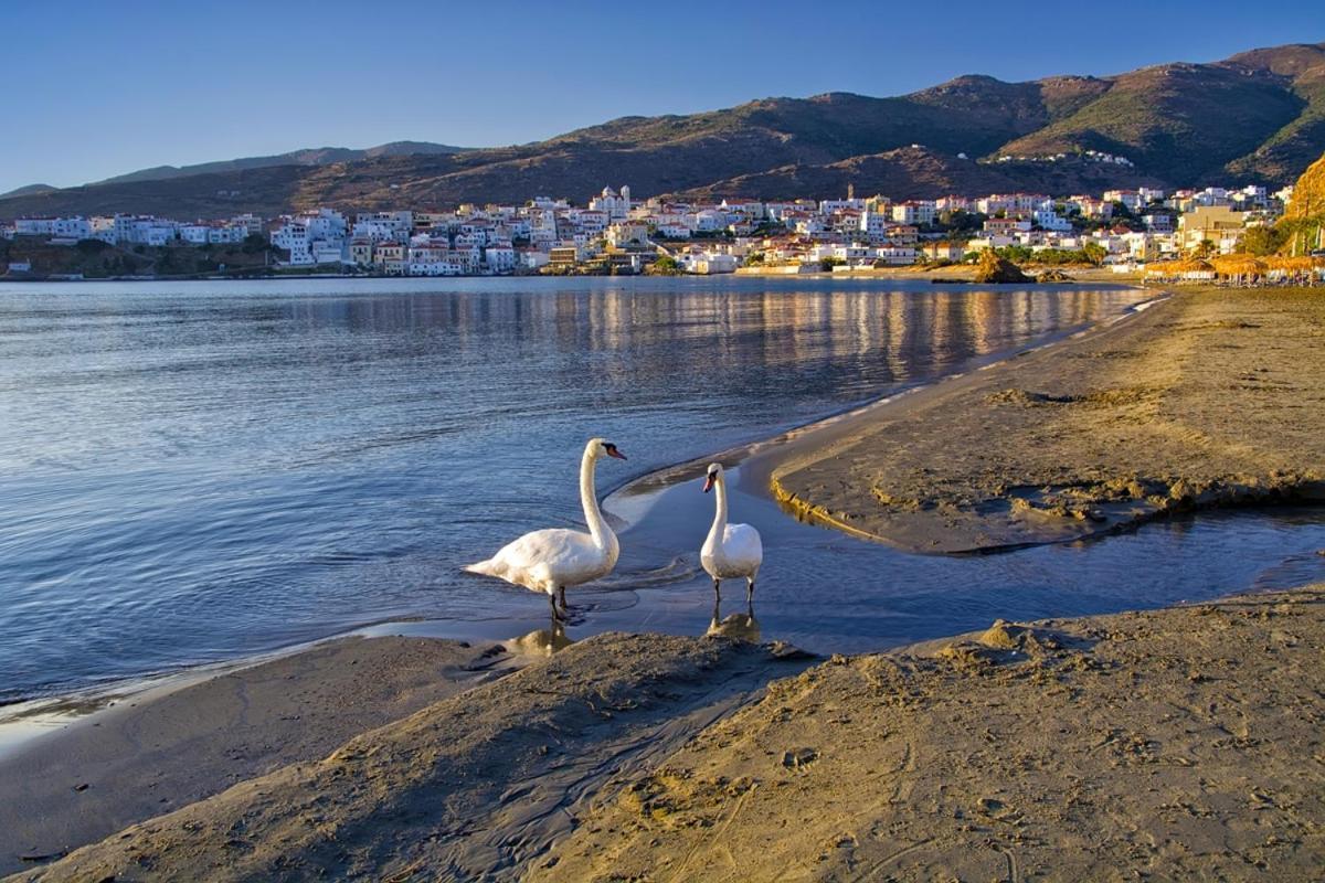 Kontos-Traditional House In Andros Beach Dış mekan fotoğraf